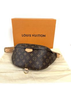 Louis Vuitton Monogram Bum Bag