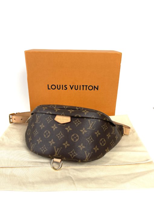 Louis Vuitton Monogram Bum Bag 12
