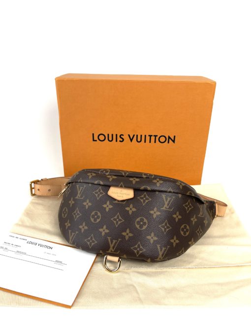 Louis Vuitton Monogram Bum Bag 2