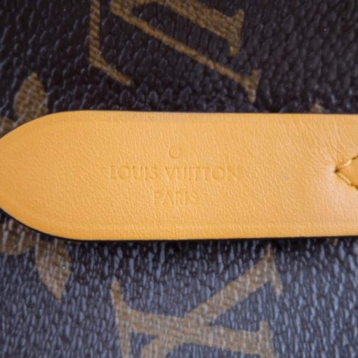 Louis Vuitton Monogram Neo Noe Saffron 8
