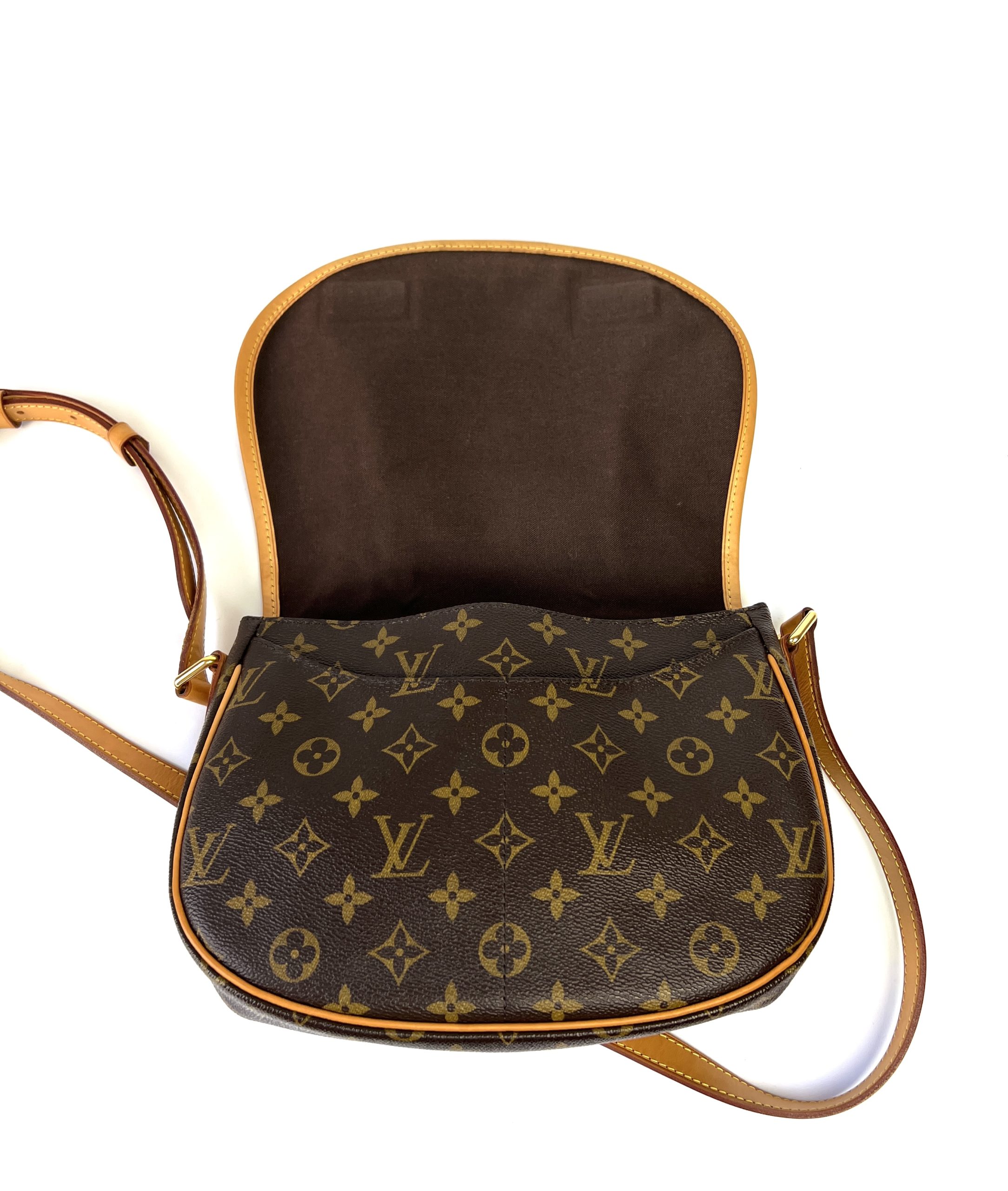 Louis Vuitton Monogram  PM Crossbody Camera Bag at 1stDibs