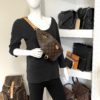 Louis Vuitton Monogram Bum Bag 3