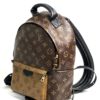 Louis Vuitton Reverse Palm Springs PM Backpack