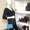 Chanel Turquoise Lizard Embossed Leather WOC with Silver Hardware 15