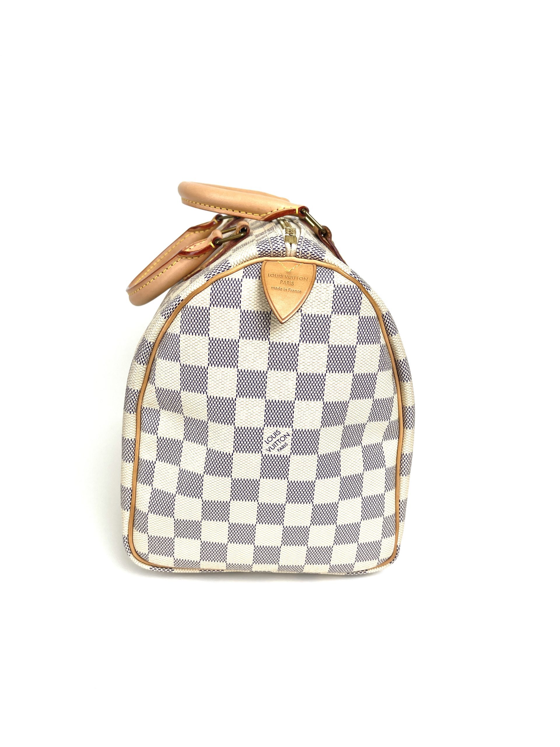 Louis Vuitton Speedy Handbag 30 checkered azure pattern Minnie