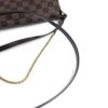 Louis Vuitton Damier Ebene Favorite MM Crossbody 24