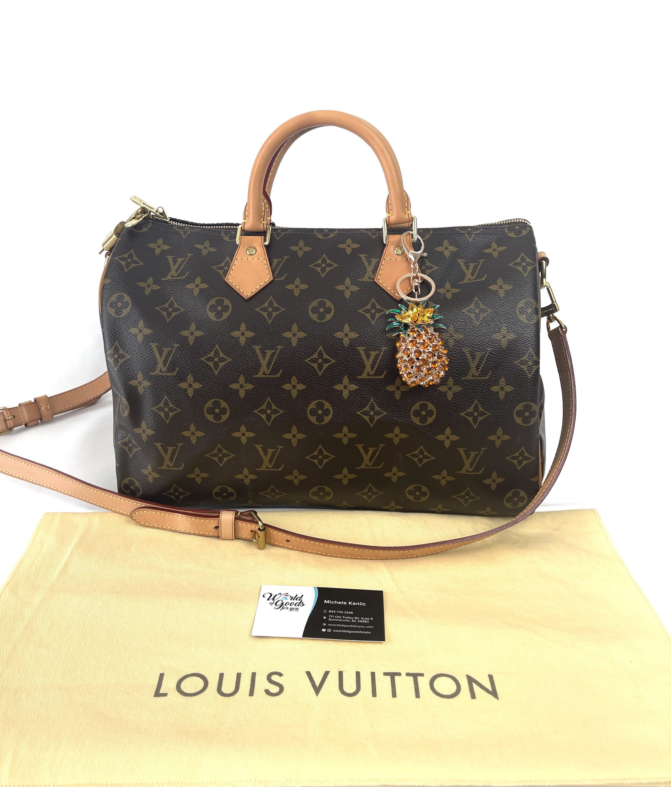 Vintage Louis Vuitton Suiter