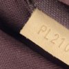 Louis Vuitton Monogram Turenne PM Crossbody 4