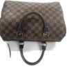 Louis Vuitton Damier Ebene Speedy 30 Satchel 19