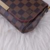 Louis Vuitton Damier Ebene Favorite PM 17