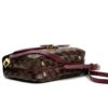 Louis Vuitton Clapton Damier Ebene Crossbody with Raisin 9