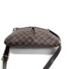 Louis Vuitton Damier Ebene Bloomsbury PM 12