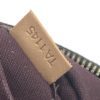 Louis Vuitton Monogram Turenne PM Crossbody 5