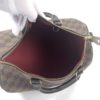 Louis Vuitton Damier Ebene Speedy 30 Satchel 9