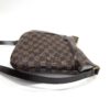 Louis Vuitton Damier Ebene Bloomsbury PM 11