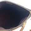 Louis Vuitton Monogram Turenne PM Crossbody 4