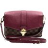 Louis Vuitton Clapton Damier Ebene Crossbody with Raisin 3