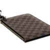 Louis Vuitton Ebene Neverfull Pochette 6
