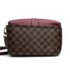 Louis Vuitton Clapton Damier Ebene Crossbody with Raisin 6