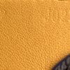 Louis Vuitton Monogram Bandouliere Strap With Yellow and Blue 4