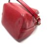 Louis Vuitton Epi Petit Noe Castillan Red Shoulder Bag 19