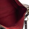 Louis Vuitton Damier Ebene Evora MM Shoulder Bag or Satchel 11
