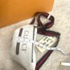 GUCCI Winter White Small Grained Calfskin Belt Bag 17