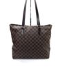 Louis Vuitton Ebene Cabas Mezzo Tote 17