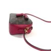 Louis Vuitton Monogram Saintonge Crossbody With Freesia Pink 10