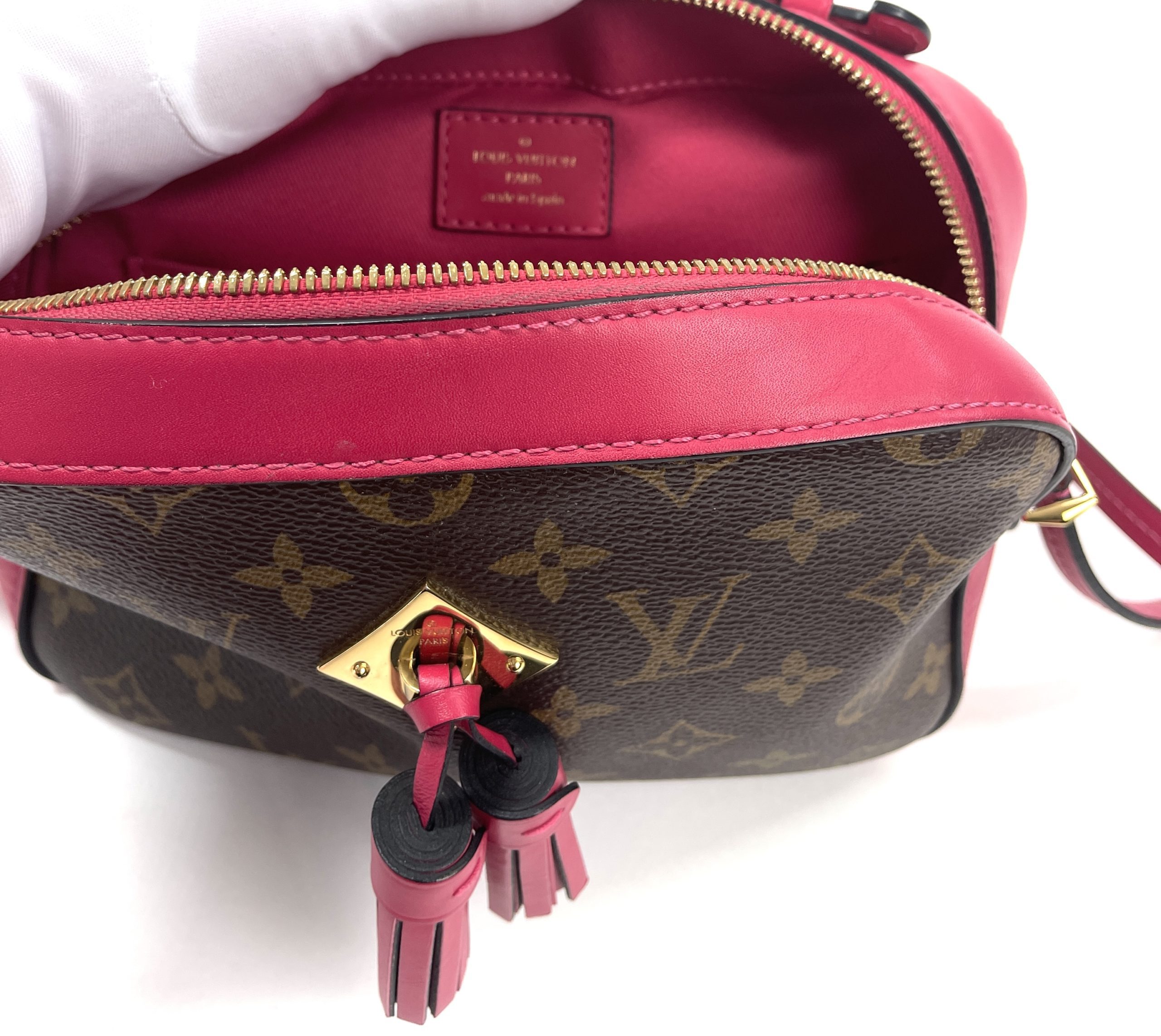 The Louis Vuitton Saintonge Bag is the Brand's Latest Monogram Hit -  PurseBlog
