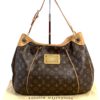 Louis Vuitton Monogram Galliera PM Hobo 4