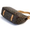 Louis Vuitton Monogram Galliera PM Hobo 10
