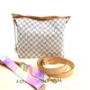 Louis Vuitton Azur Delightful PM Hobo Bag With Rose Ballerine Interior 4