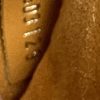 Louis Vuitton Ebene Neo Noe Saffron 17