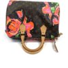 Louis Vuitton Stephen Sprouse Roses Speedy 30 Satchel 33