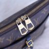 Louis Vuitton Monogram Odeon PM with Noir 5