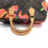Louis Vuitton Stephen Sprouse Roses Speedy 30 Satchel 37