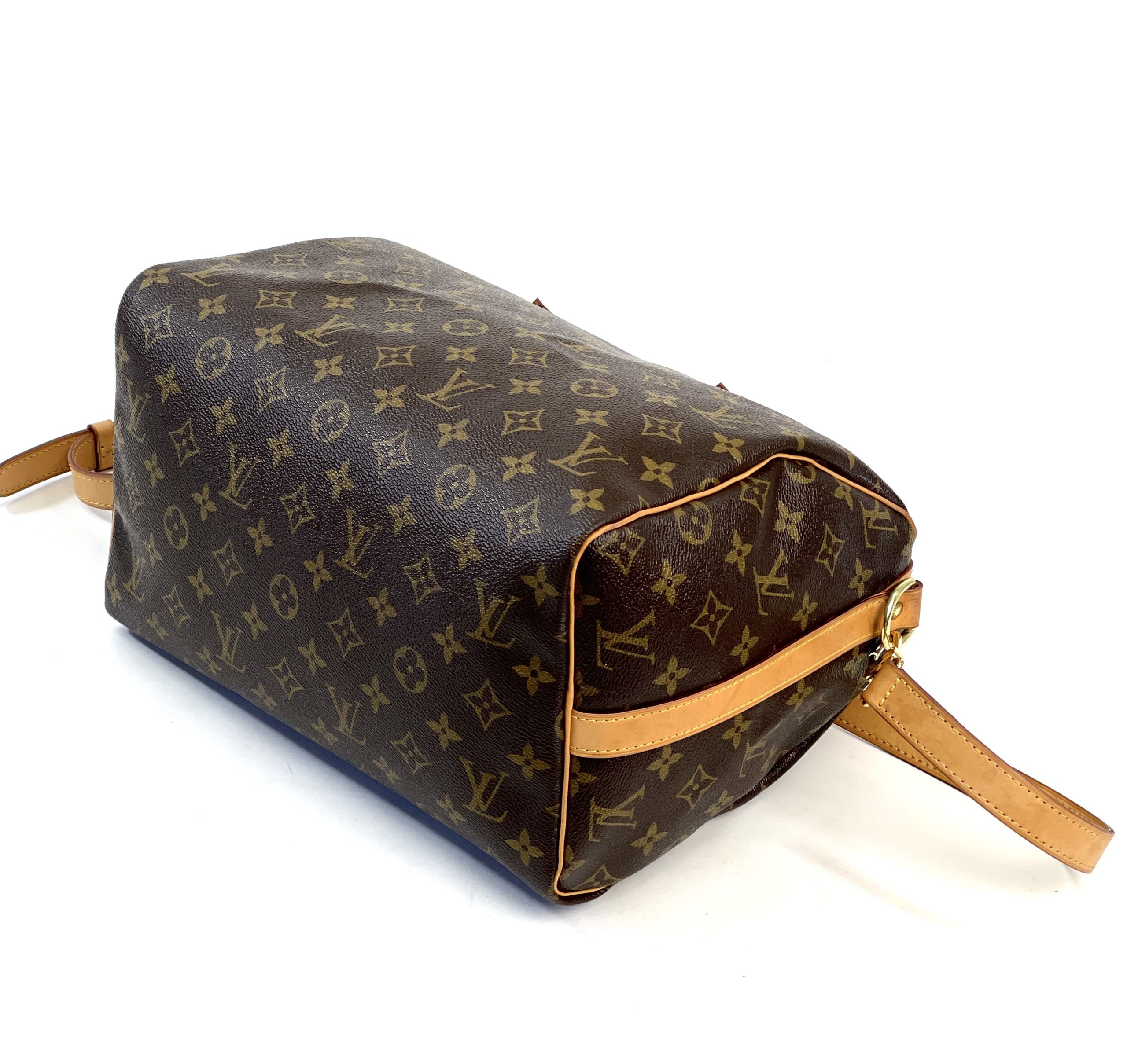 Louis Vuitton Speedy Shoulder bag 381784