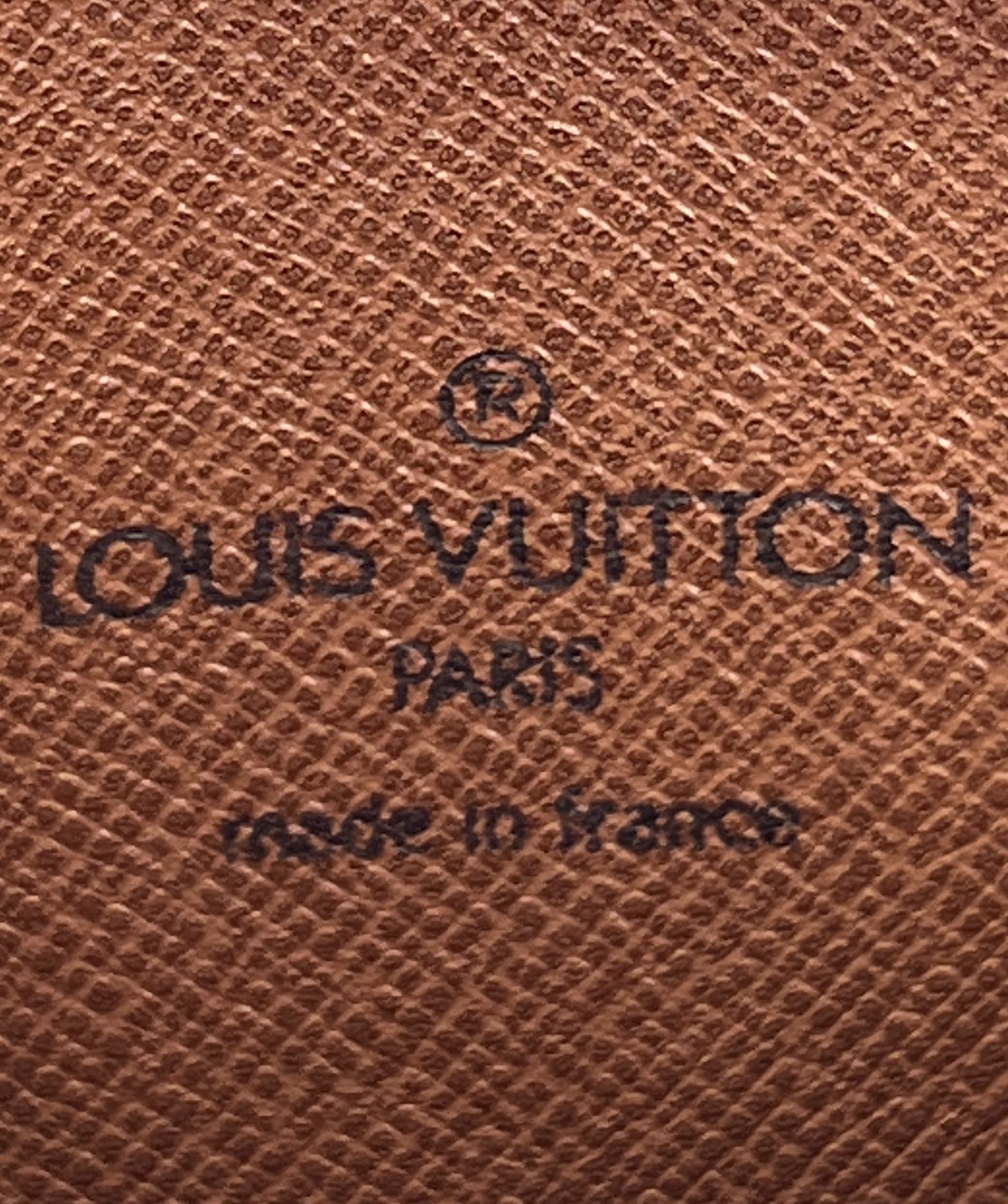 LOUIS VUITTON Monogram Danube 21 1242132