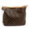 Louis Vuitton Monogram Delightful MM Hobo with Pivone 15
