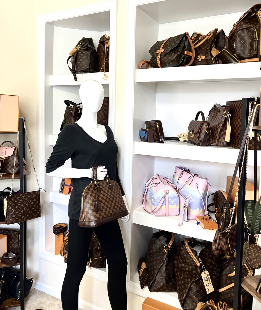Damier Ebene Alma PM Handbag – The Refind Closet
