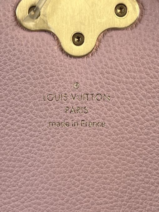 Louis Vuitton Damier Ebene Magnolia Clapton Backpack 22