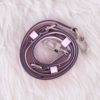 Louis Vuitton Pastel Escale Speedy 30 Bandouliere 24
