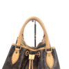 Louis Vuitton Monogram Eden Noe 2 Way Bag Limited Edition 10