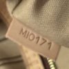 Louis Vuitton Monogram Delightful GM Hobo 10