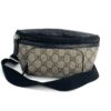 Gucci GG Coated Canvas Eden Medium Waist Pouch Bum Bag 4
