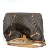 Louis Vuitton Monogram Delightful GM Hobo 17