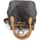Louis Vuitton Monogram Eden Noe 2 Way Bag Limited Edition 16