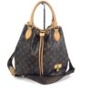 Louis Vuitton Monogram Eden Noe 2 Way Bag Limited Edition 8