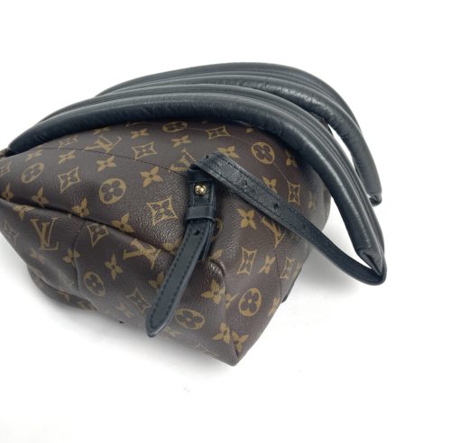 Louis Vuitton Monogram Palm Springs PM Backpack straps